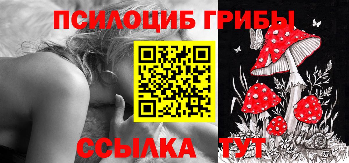 Галлюциногенные грибы Cubensis Большой Камень