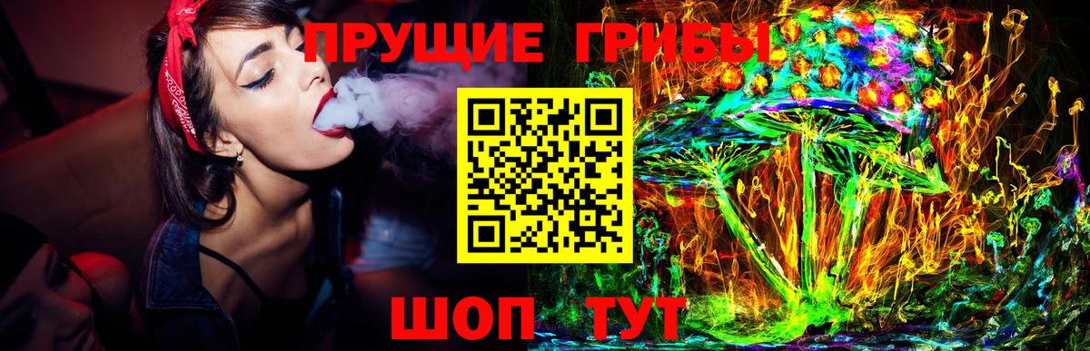 Галлюциногенные грибы Psilocybine cubensis  Вход с VPN  Большой Камень 